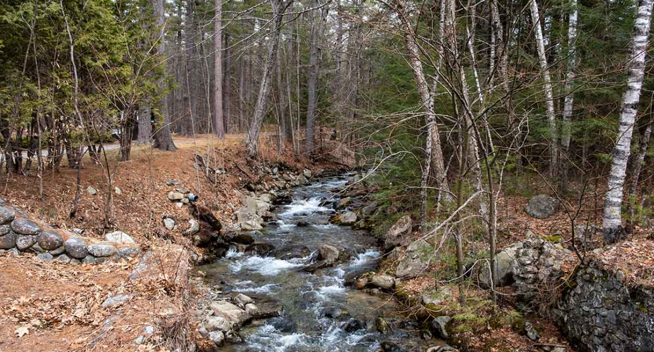 Earth Day in Moultonborough, NH