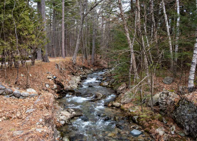 Earth Day in Moultonborough, NH