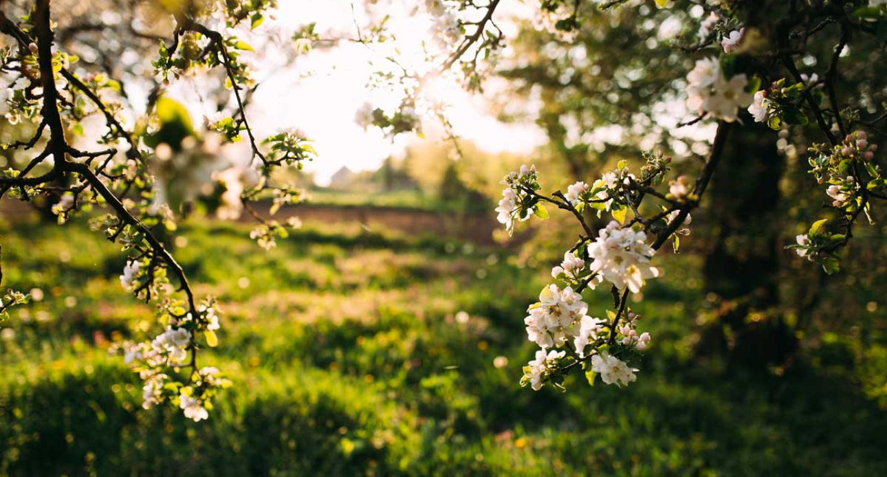 Memorial Day Weekend in Moultonborough: Local Fun &amp; Fresh Air