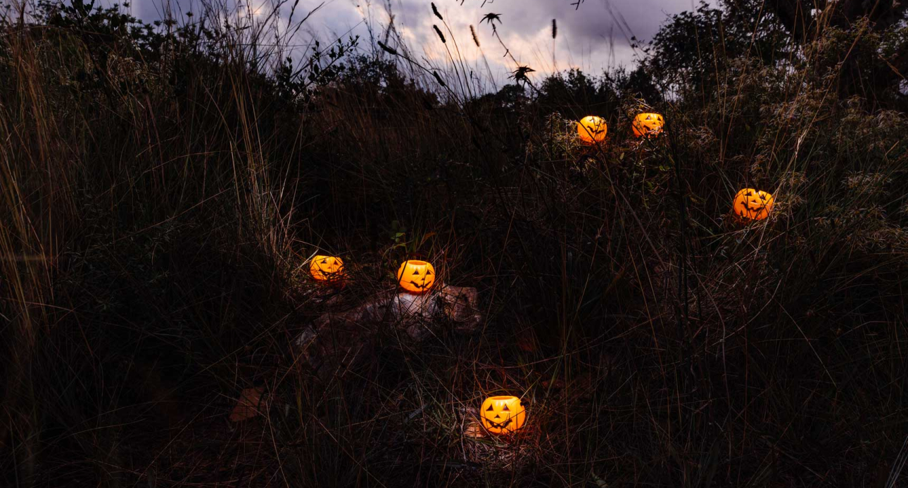 Halloween in Moultonborough Village, NH