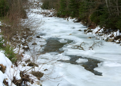 Spring on the Neck: Exploring Moultonborough’s Natural Waterways