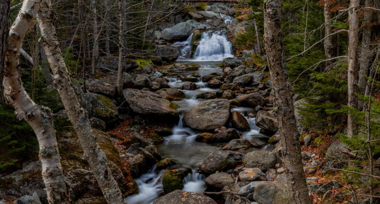 Top 5 Outdoor Activities to Kick Off Summer in Moultonborough