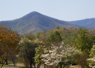 Local Favorites: Hidden Gems Around Moultonborough