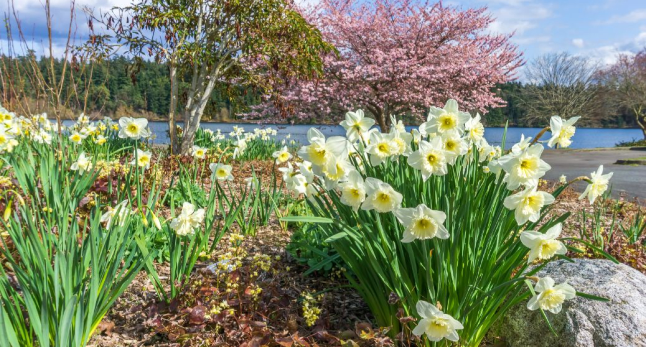 Why May Is the Perfect Time to Visit Lake Winnipesaukee