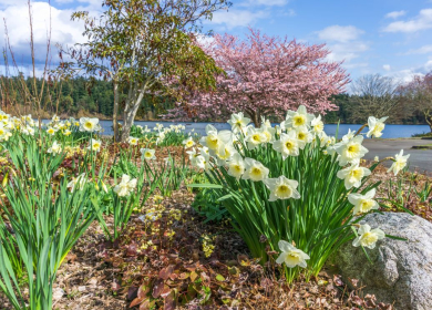 Why May Is the Perfect Time to Visit Lake Winnipesaukee