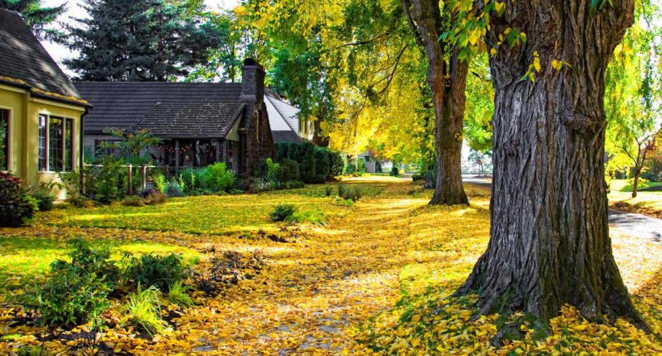 Enjoying a Quiet Fall Weekend in Moultonborough Village