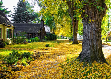 Enjoying a Quiet Fall Weekend in Moultonborough Village