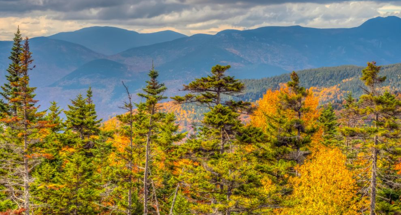 Waterfalls and Scenic Trails Near Moultonborough