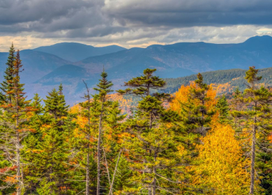 Waterfalls and Scenic Trails Near Moultonborough