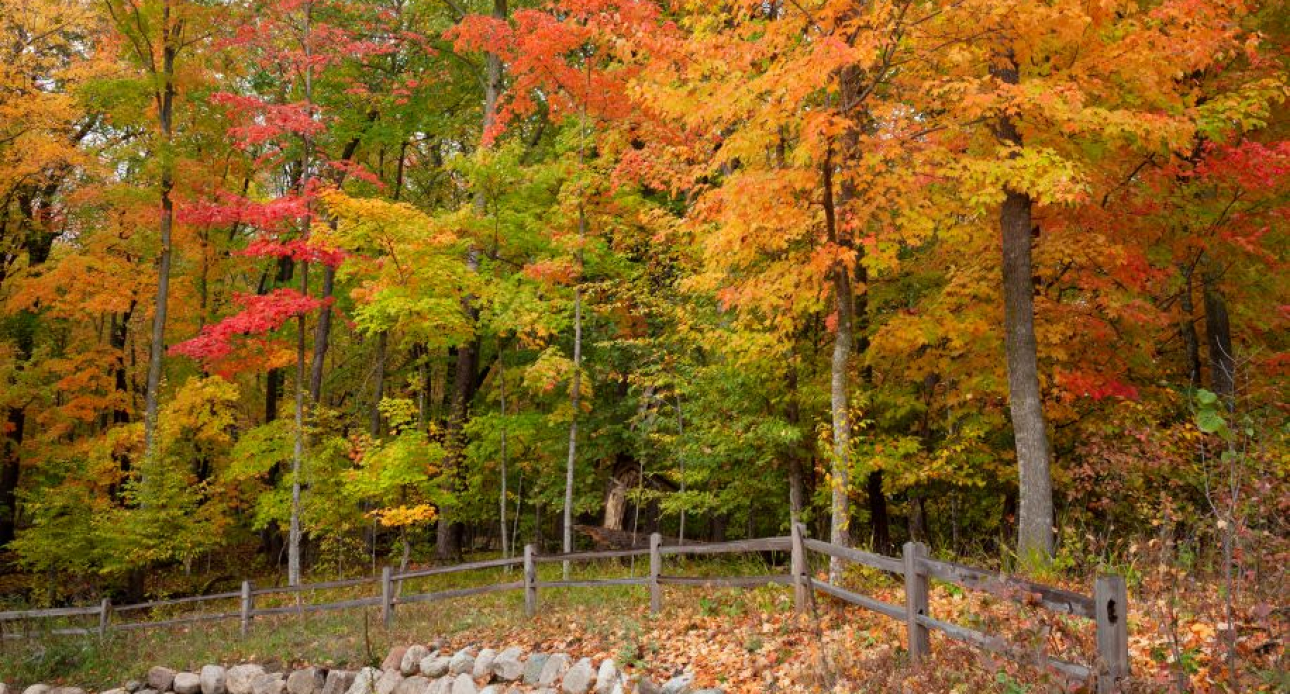 A Guide to Fall Foliage Around Moultonborough