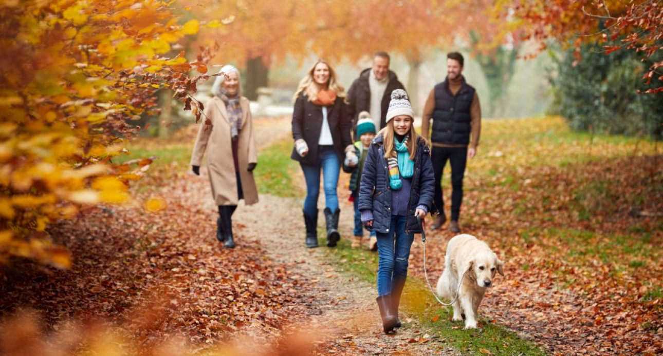 Beyond the Foliage: A Cozy Fall Day in Moultonborough