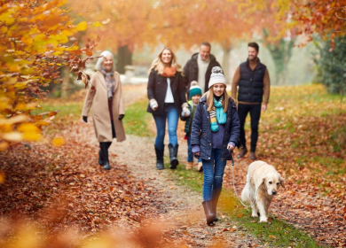 Beyond the Foliage: A Cozy Fall Day in Moultonborough